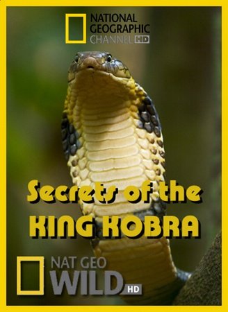 KH154 - Document - Secrets of the King Cobra 2009 (1.5G)